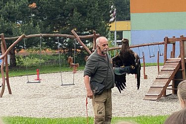 Obrázek č.33